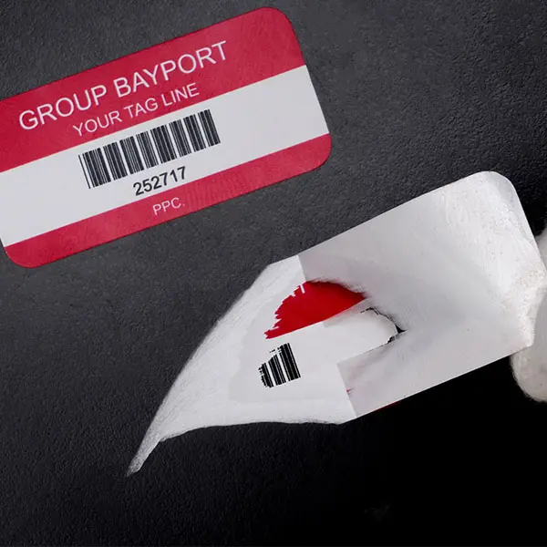 asset identification