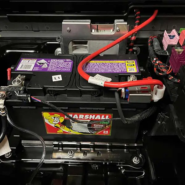 car battery label