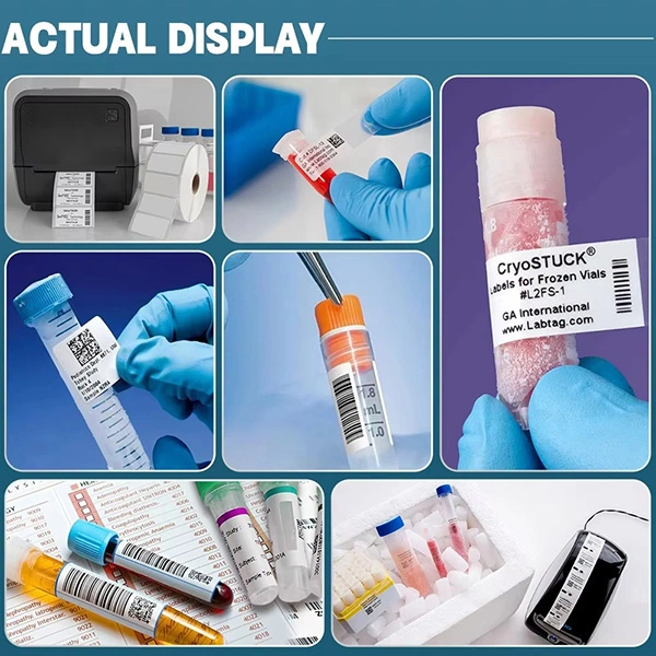 cold storage lab labels