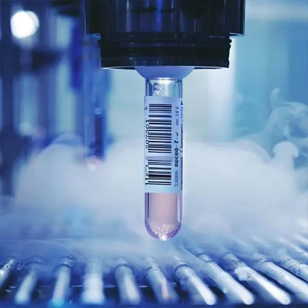 low temperature resistant labels for biopharmaceutical