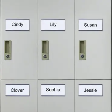 magnetic file cabinet labels