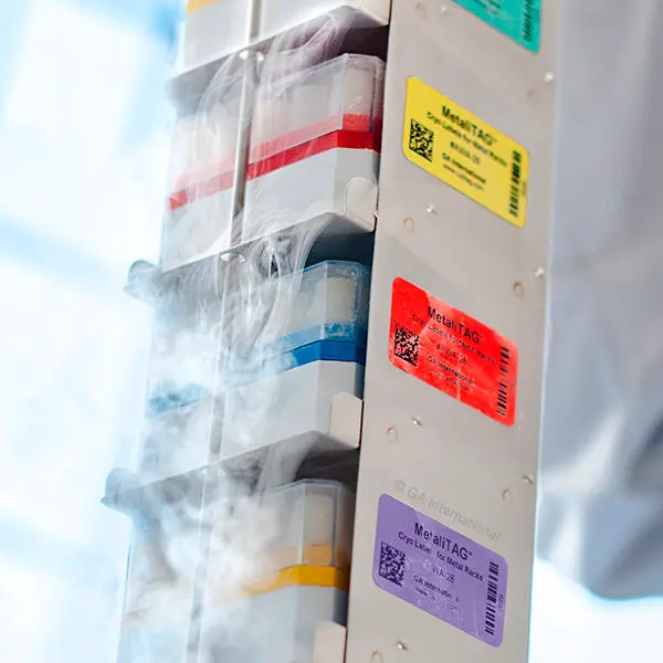 precision fit for medical vessels
