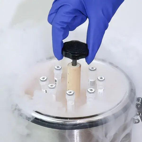 supreme laboratory versatility