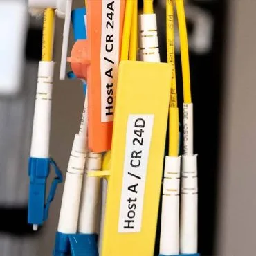 supports sequential numbering