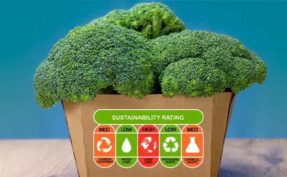 for biodegradable