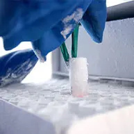 cold chain and freezer labels