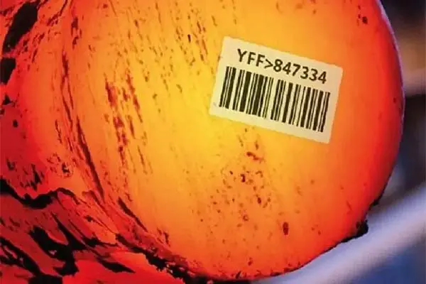 high temperature resistance