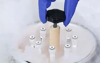 moisture and condensation resistance