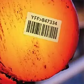 temperature resistanc